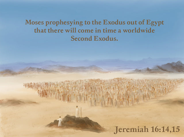 PROPHECY PANEL 001